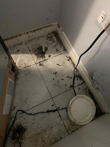AVSM Pest Control place picture