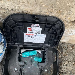 Mice Control Services Etobicoke