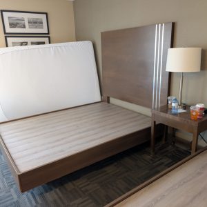 Bed Bug Removal Etobicoke