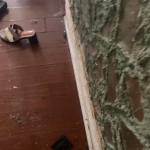 effective and affordable extermination Etobicoke